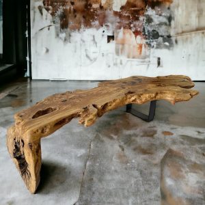 Table basse tronc arbre brut